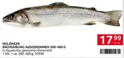 Transgourmet Holzinger Bachsaibling Angebot