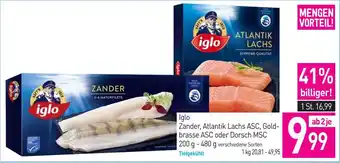 Iglo Zander, Atlantik Lachs ASC, Goldbrasse ASC oder Dorsch MSC