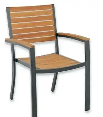 Metro Alu-Sessel Lion Angebot