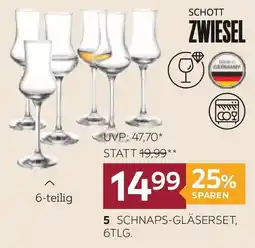 XXXLutz Schott Zwiesel Schnaps-Gläserset Angebot