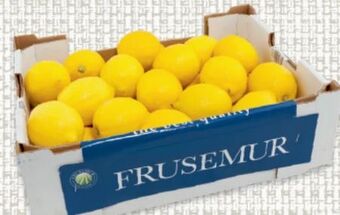 Metro Zitronen Angebot