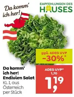 ADEG Endivien Salat Angebot