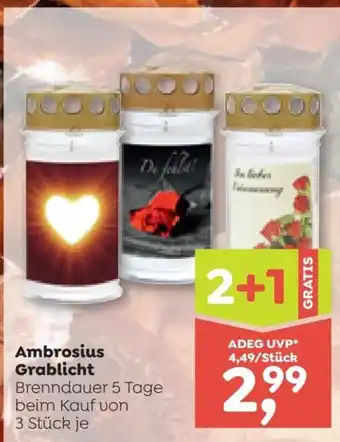ADEG Ambrosius Grablicht Angebot