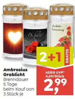 ADEG Ambrosius Grablicht Angebot