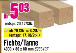 Hornbach Fichte/Tanne Angebot