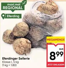 Maximarkt Eferdinger Sellerie Angebot