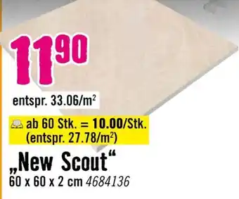 New Scout