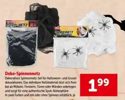Interspar Deko-Spinnennetz Angebot