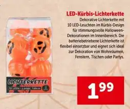 Interspar LED-Kürbis-Lichterkette Angebot