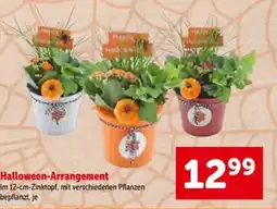 Interspar Halloween-Arrangement Angebot