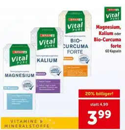 Interspar Vital Pure Magnesium, Kalium oder Bio-Curcuma forte Angebot
