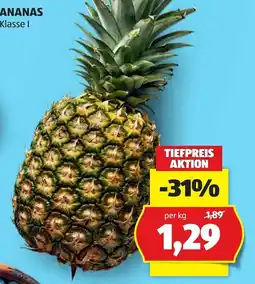 Hofer Ananas Klasse I Angebot