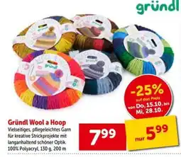 Interspar Gründl Wool a Hoop Angebot