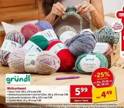 Interspar Alpaca Twist Angebot