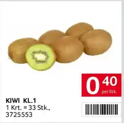 Transgourmet Kiwi KL.1 Angebot