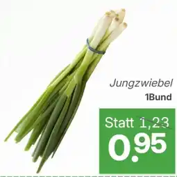 ETSAN Jungzwiebel Angebot