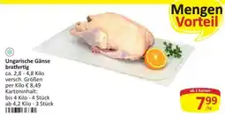 Kastner Ungarische Gänse bratfertig Angebot