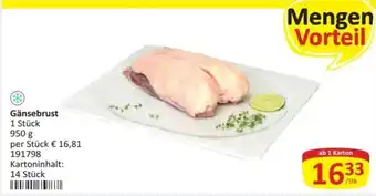 Gänsebrust