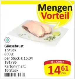 Kastner Gänsebrust Angebot