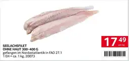 Transgourmet Seelachsfilet Angebot