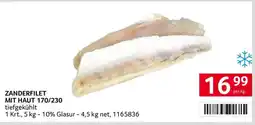 Transgourmet Zanderfilet mit Haut Angebot