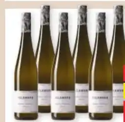 Maximarkt Weingut Kolkmann Grüner Veltliner Classic Wagram Angebot