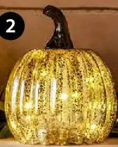 Dehner Led-kürbis Angebot