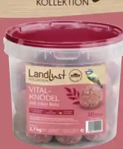 Dehner Dehner Natura Premium Wildvogelfutter Vital-Meisenknödel Angebot