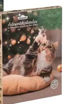 Dehner Dehner Lieblinge Adventskalender Katze Angebot