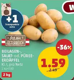 PENNY Beilagen, Salat od. Püreeerdäpfel Angebot