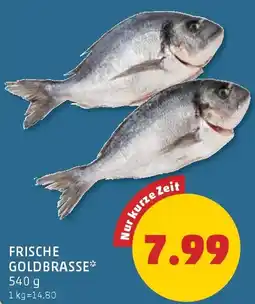 PENNY Frische Goldbrasse Angebot