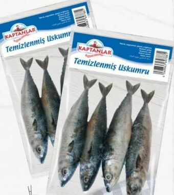 ETSAN Makrele Angebot