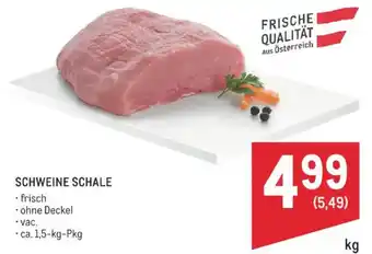 Schweine Schale