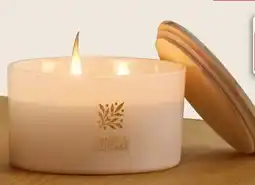 KiK Duftkerze Angebot