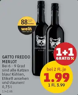PENNY Gatto Freddo Merlot Angebot
