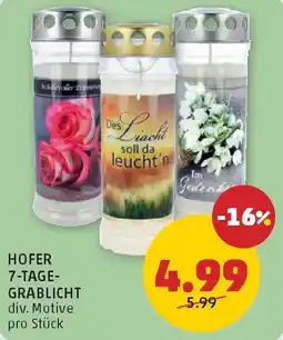 PENNY HOFER 7-TAGE-GRABLICHT Angebot