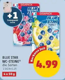 PENNY Blue Star WC-Steine Angebot