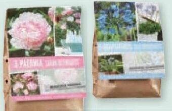 Lidl Agapanthus/Pfingstrosen Zwiebeln Angebot