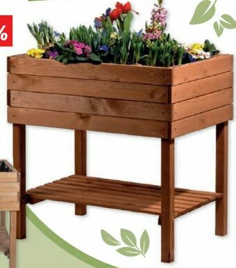 Lidl Hochbeet Angebot