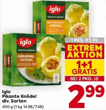 Billa Iglo Pikante Knödel Angebot