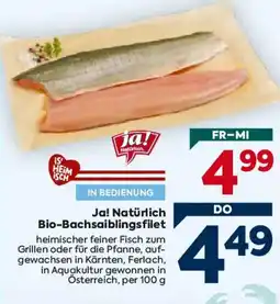 Billa Ja! Natürlich Bio-Bachsailingsfilet Angebot