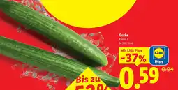 Lidl Gurke Angebot