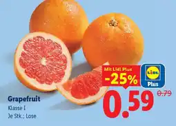 Lidl Grapefruit Angebot