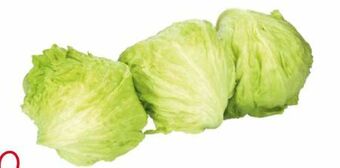 Transgourmet Eisbergsalat Angebot