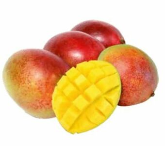 Transgourmet Essreife Mango Angebot