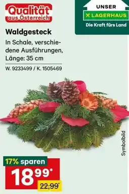 Lagerhaus Waldgesteck Angebot