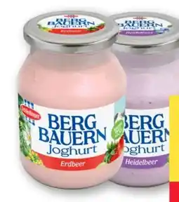 MPreis Schärdinger Bergbauern Joghurt Angebot