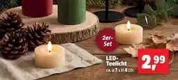 Thomas Philipps LED-Teelicht Angebot