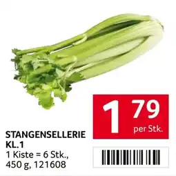 Transgourmet Stangensellerie Angebot