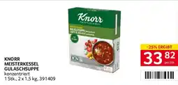 Transgourmet Knorr Meisterkessel Gulaschsuppe konzentriert Angebot
